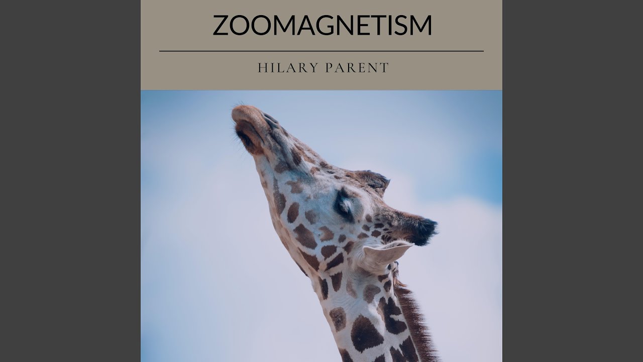 Zoomagnetism