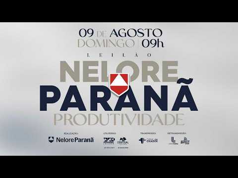 LOTE   12 ANP 4637 COM MÃE