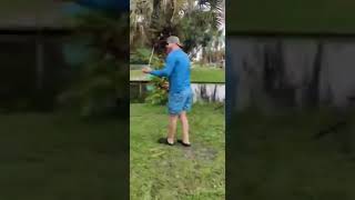 Accidental Alligator Catch