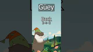 Wey In Mexican Spanish Explained