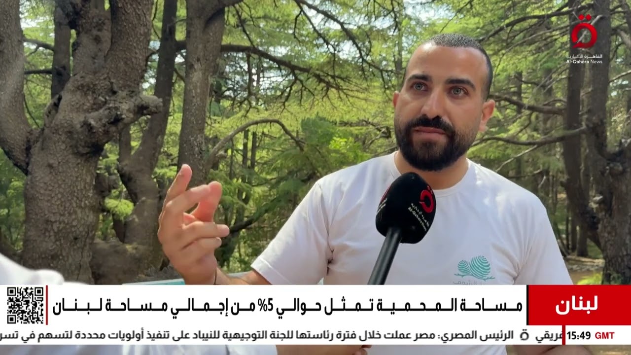 أرز الشوف.. جوهرة الطبيعة في لبنان وأكبر محميات الشرق الأوسط