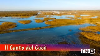 Il Canto Del Cucù - Biodiversità Una Ricerca Sul Campo Byam