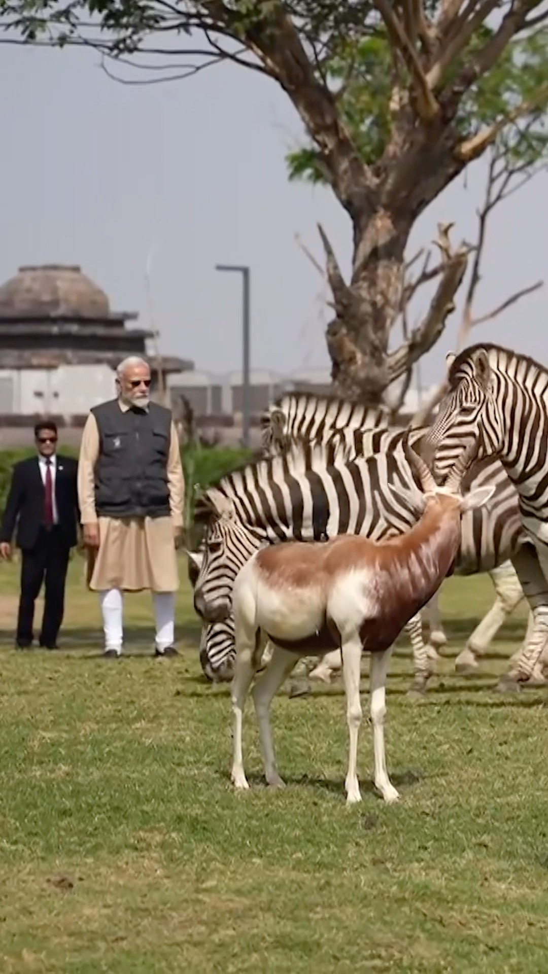 PM Modi witnesses incredible wildlife conservation efforts at Vantara