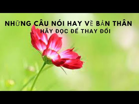 Những câu nói