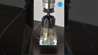 Electroadhesion Surfaces