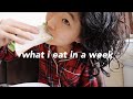 what i eat in a week (korean food + realistic) 🇰🇷