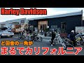 【ハーレー】ただの営業日です。 Harley Davidson