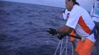 peche jigging bali amberjack strike