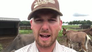 #MuleTipTuesday If you want to invest in your mule you must first invest in yourself.