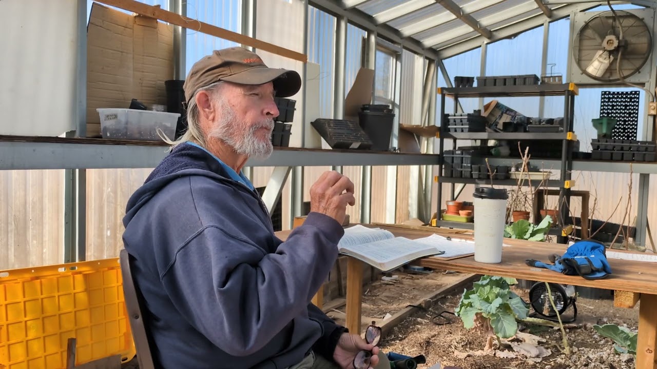 Делами спасения никогда не будет достаточно | Вот что поможет