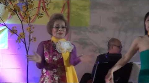 Sliding Door LD  (VN NewYear 2016 @ North York CN)