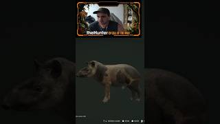Tapir Harinosoo! 🇵🇪 || The Hunter Call Of The Wild #shorts #gameplay #thehunter #cotw #peru #tapir