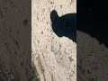 A quien se le perdería ?? 