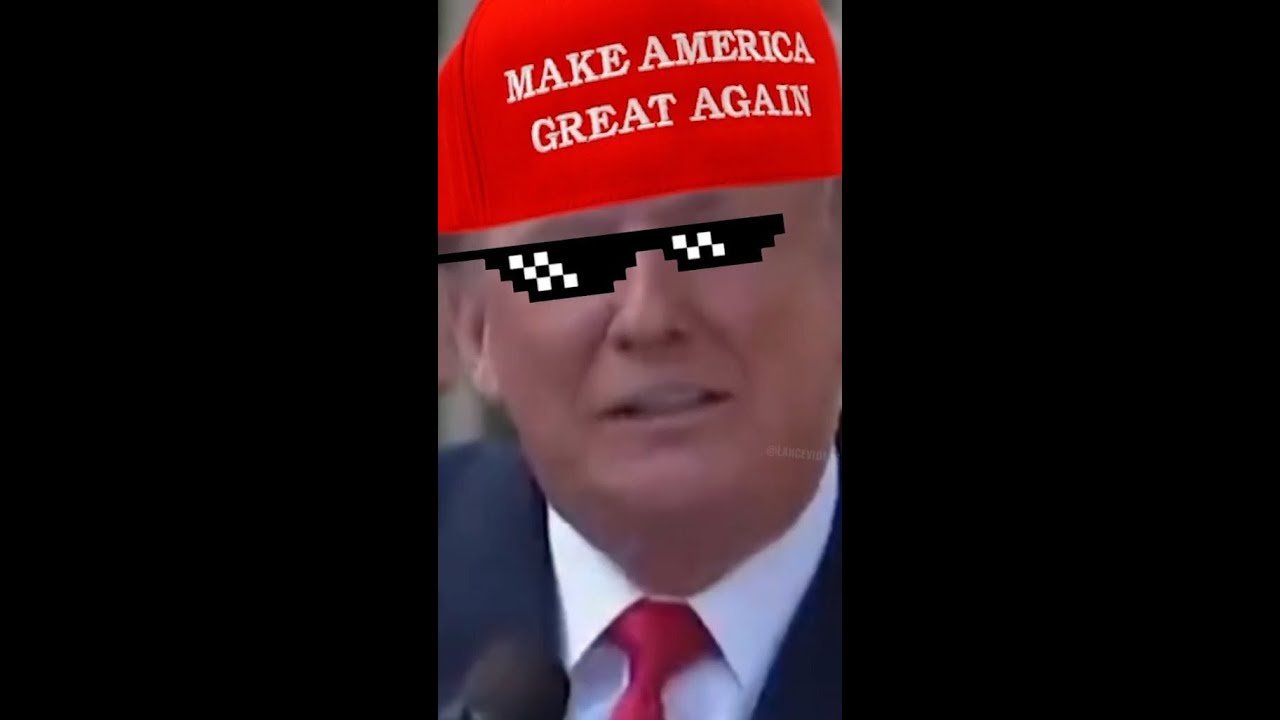 Your Definitive(ish) Guide To TikTok and the 2020 Election