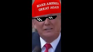 Your Definitive(ish) Guide To TikTok and the 2020 Election