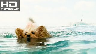 Information The Meg (2018) | Pippin Come Back! scene | MOVIECLIPS HD Guide