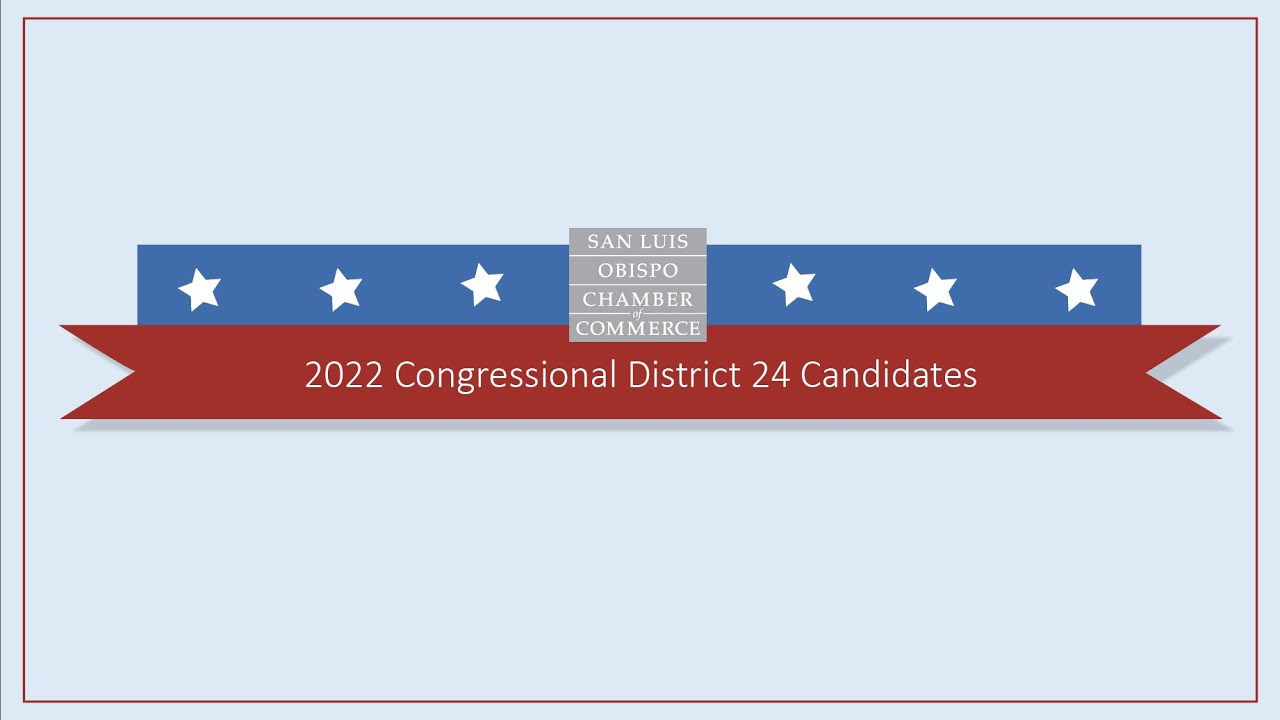 2022 Congressional District 24 Candidates YouTube