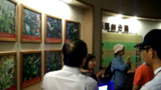 2012081906坪林荼葉博物館.欣賞橋畔鷺鷥的家..拍攝者:ya-chin chang