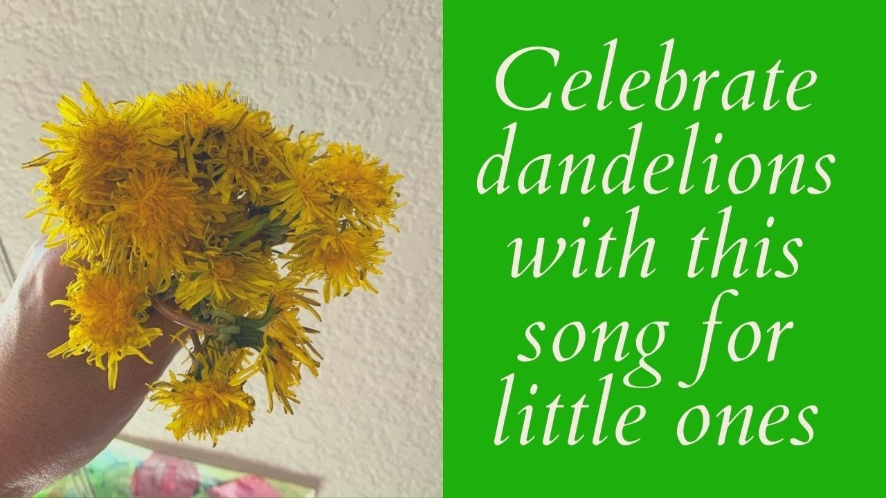 Celebrate dandelions with this song for little ones