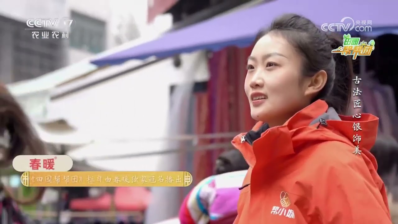 《田园帮帮团》 20260307 古法匠心银饰美 | 农业致富经 Agriculture And Farming