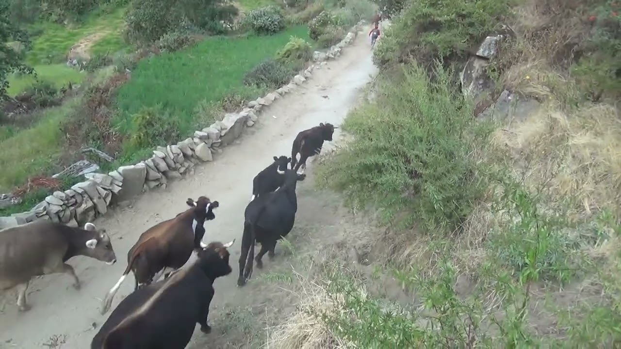 CAPÍTULO 5.- Captura de GORRIÓN, el 23JUL2025, 17:00 hrs.