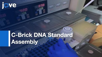 C-Brick DNA Standard Assembly Using Cpf1 | Protocol Preview