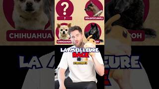 Adopterais tu ce chien la? #chien