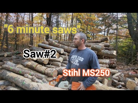 Six minute series, Chainsaw #2 MS250 stihl - YouTube