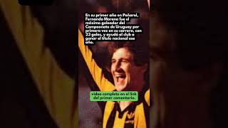 PIWaFrtFfrw Video Image