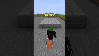 Minecraft Skateboarding Mod #minecraft #minecraftmods #minecrafttutorial #minecraftshorts #tiktok