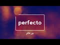 افتتاح قناة بيرفكتو 