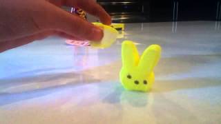 Happy Easter!!!!! (random video) Stop motion