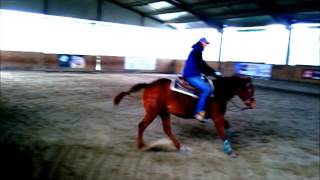 Whizpectacular März 31 2015