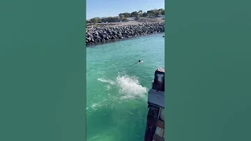 Jetty Jumps Travel Australia Ocean Shorts Southaustralia 