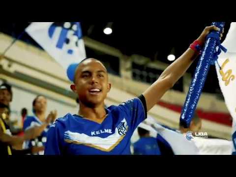 Torneo Apertura 2018 - Jornada 16 camera iphone 8 plus apk