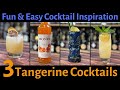 3 EASY Cocktails with Monin Tangerine Syrup - SUMMER FUN