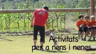 Hobby Dog Amb Els Més Pes