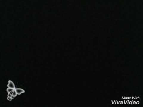 كتابة كلمات اغاني انتي حسن انتي دلع بس لازم تشوف الكامل