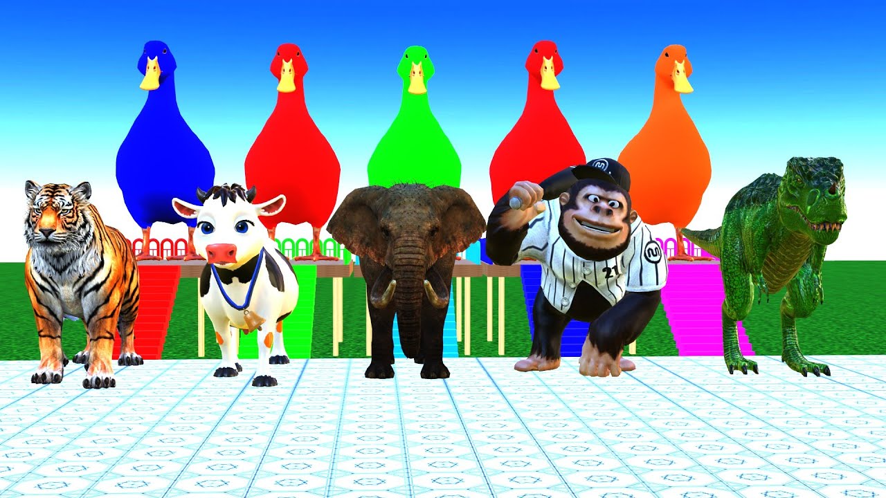 Long Slide game 🎮 With Elephant 🐘 Gorilla 🦍 Lion 🦁 Cow Tiger Funny 3D Animals Game 