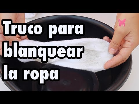 Video: Cómo blanquear un tejido: 15 pasos (con imágenes)