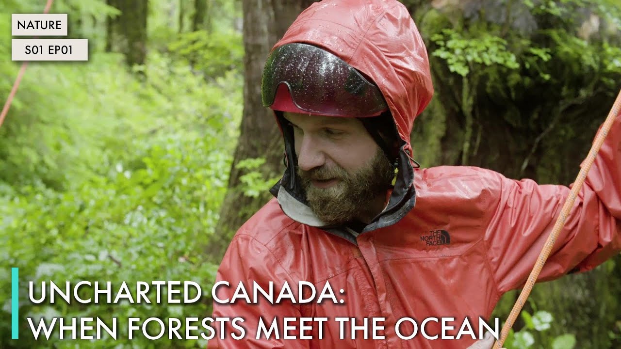 Uncharted Canada: When Forests Meet the Ocean