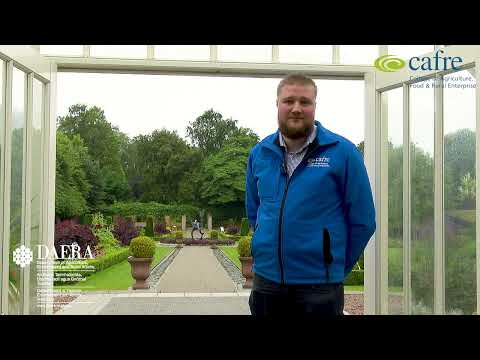 BSc (Hons) degree in Horticulture