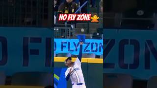 NO FLY ZONE 🤯🙅💥 #mariners #seattle #catch #mlb