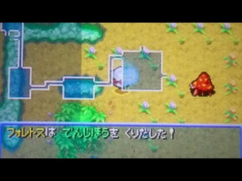 ポケダン青 深層ポケモンできよらかなもり フォレトス Youtube