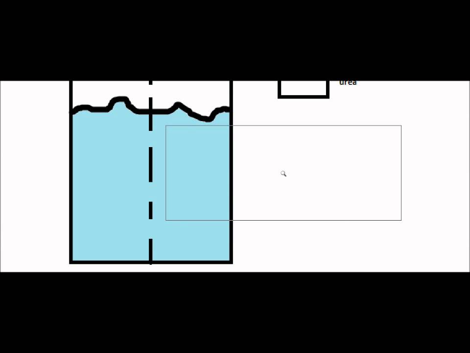 Osmosis Explanation YouTube