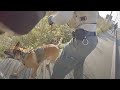 Bodycam: Multi-Agency Arrest Warrant Turns Into Shooting. Eureka, CA. December 30, 2021.