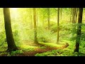 Relaxing Music 24/7, Stress Relief Music, Sleep Music, Meditation Music, Spa, Study, Healing Music