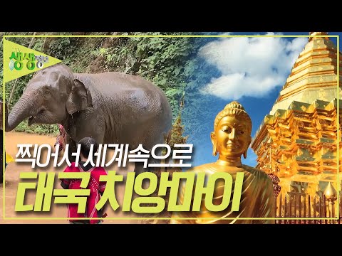 힐링의 <strong>도시</strong> <strong>태국</strong> 치앙마이 [2TV 생생정보] KBS 230825 방송