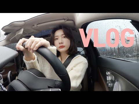 [vlog]일상 브이로그(직장인/명란구이 집밥 컵누들/줌바댄스 홈트/출근준비/생계형 운전/뼈삼겹 맛집/아이패드 언박싱/컬리 메밀국수/와인 사재기/대게 킹크랩/시바견 택이)