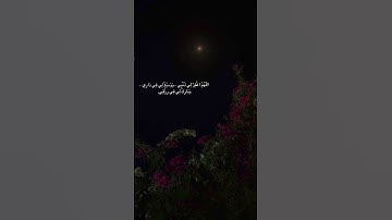 رَّبَّنَا إِنَّنَا سَمِعْنَا مُنَادِيًا يُنَادِي لِلْإِيمَانِ | القارئ ماهر المعيقلي.